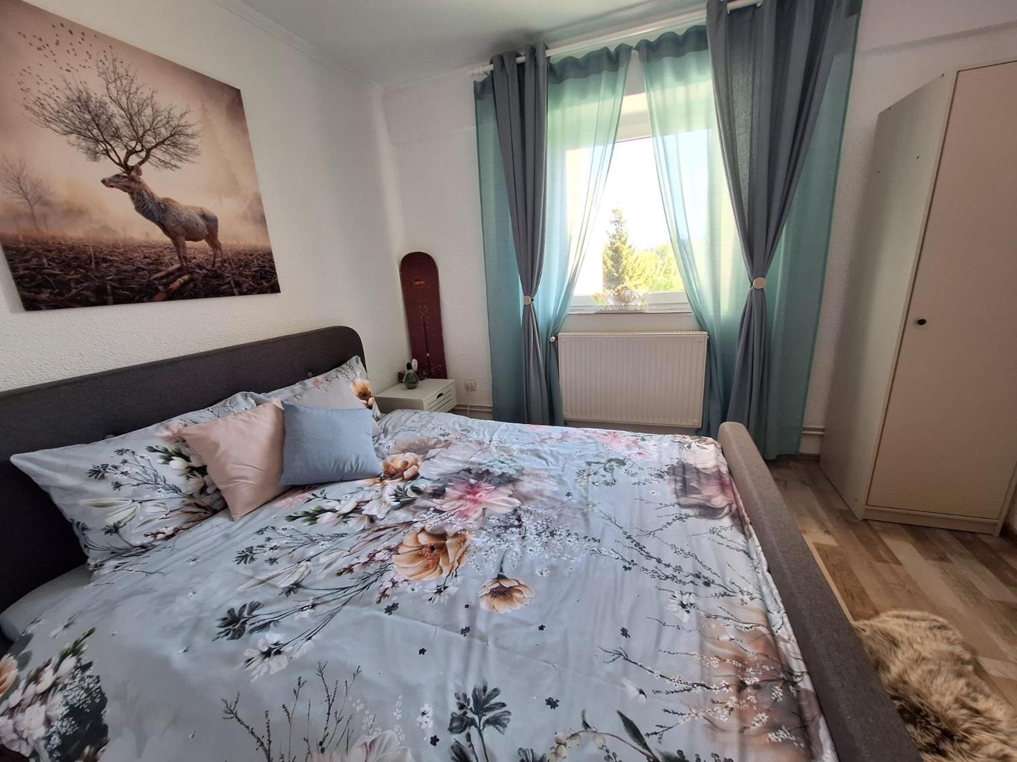 Hellen Studio Predeál Kültér fotó